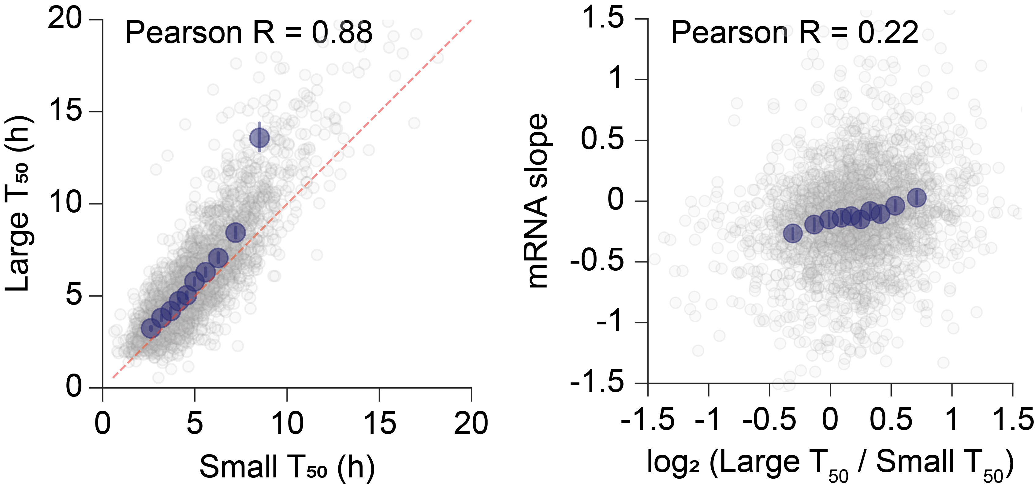 SLAMseq results